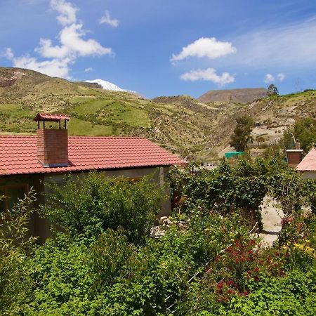 Hostal Vientos Del Altiplano Putre Kültér fotó