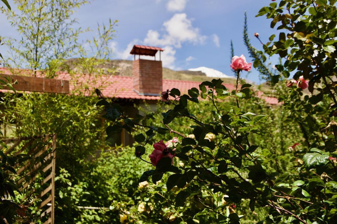 Hostal Vientos Del Altiplano Putre Kültér fotó