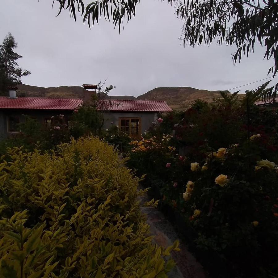 Hostal Vientos Del Altiplano Putre Kültér fotó