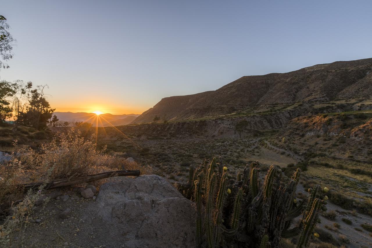 Hostal Vientos Del Altiplano Putre Kültér fotó